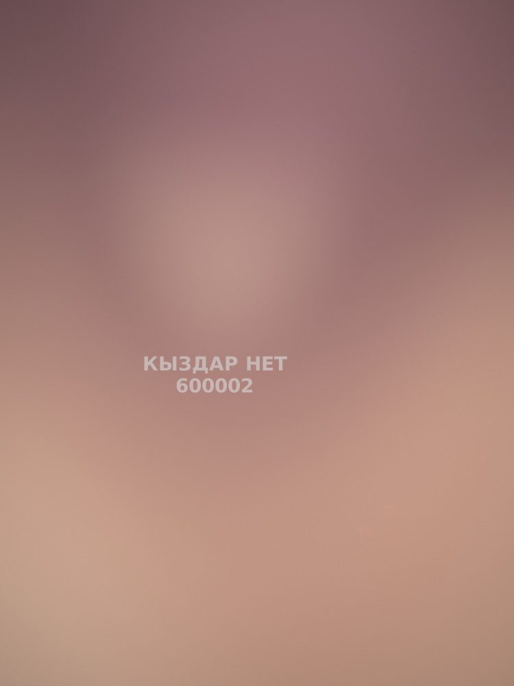 Проститутка Павлодара Анкета №600002 Фотография №1