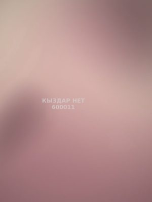 Фотография Аружан