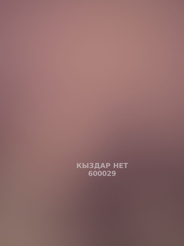 Проститутка Астаны Анкета №600029 Фотография №1