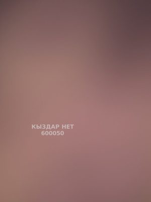 Фотография Раушан