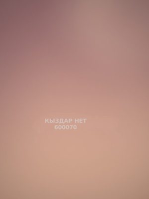 Проститутка Алматы Анкета №600070 Фотография №1