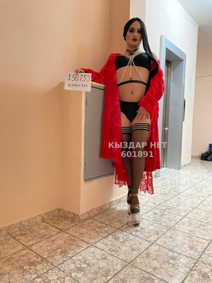 Транс Шымкента Анкета №601891 Фотография №1
