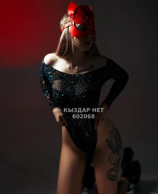 Проститутка Астаны Анкета №602068 Фотография №1
