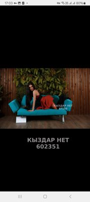 Транс Актобе Анкета №602351 Фотография №1