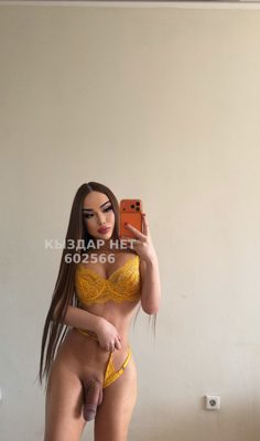 Транс Алматы Анкета №602566 Фотография №1